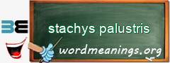 WordMeaning blackboard for stachys palustris